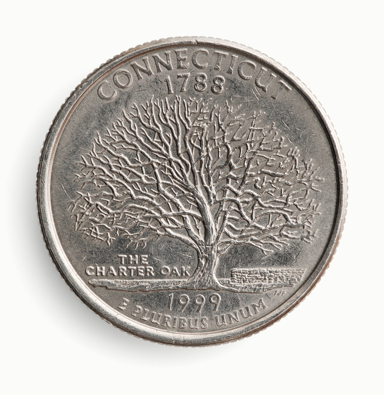 Blaise Hayward | Connecticut