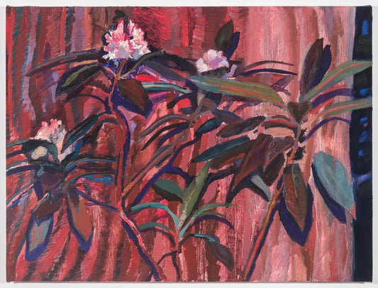 John Mitchell | Red Night Flower