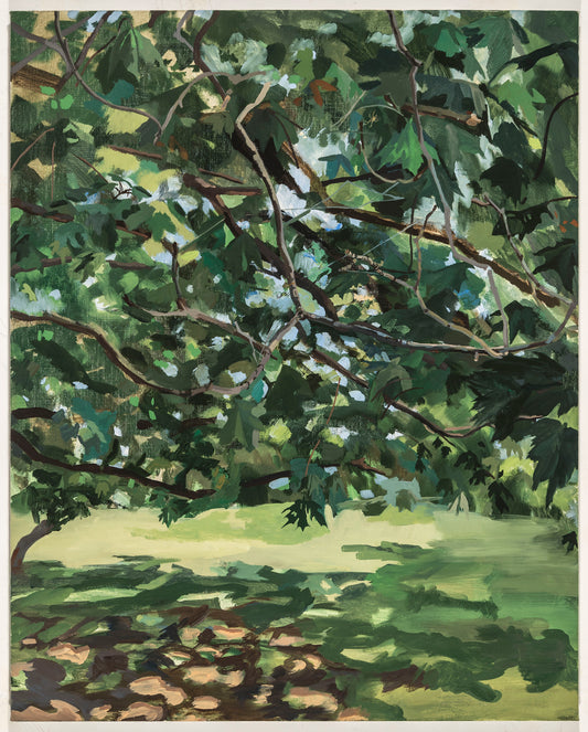 John Mitchell | Maryland Maple