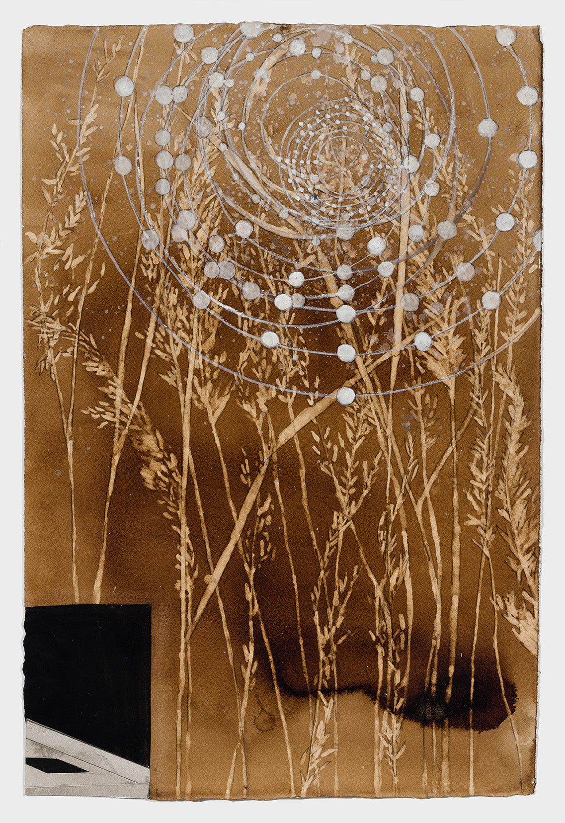 Ellen Driscoll | Indiangrass