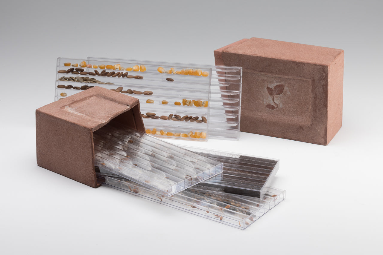 Susan Goethel Campbell | Survival Brick