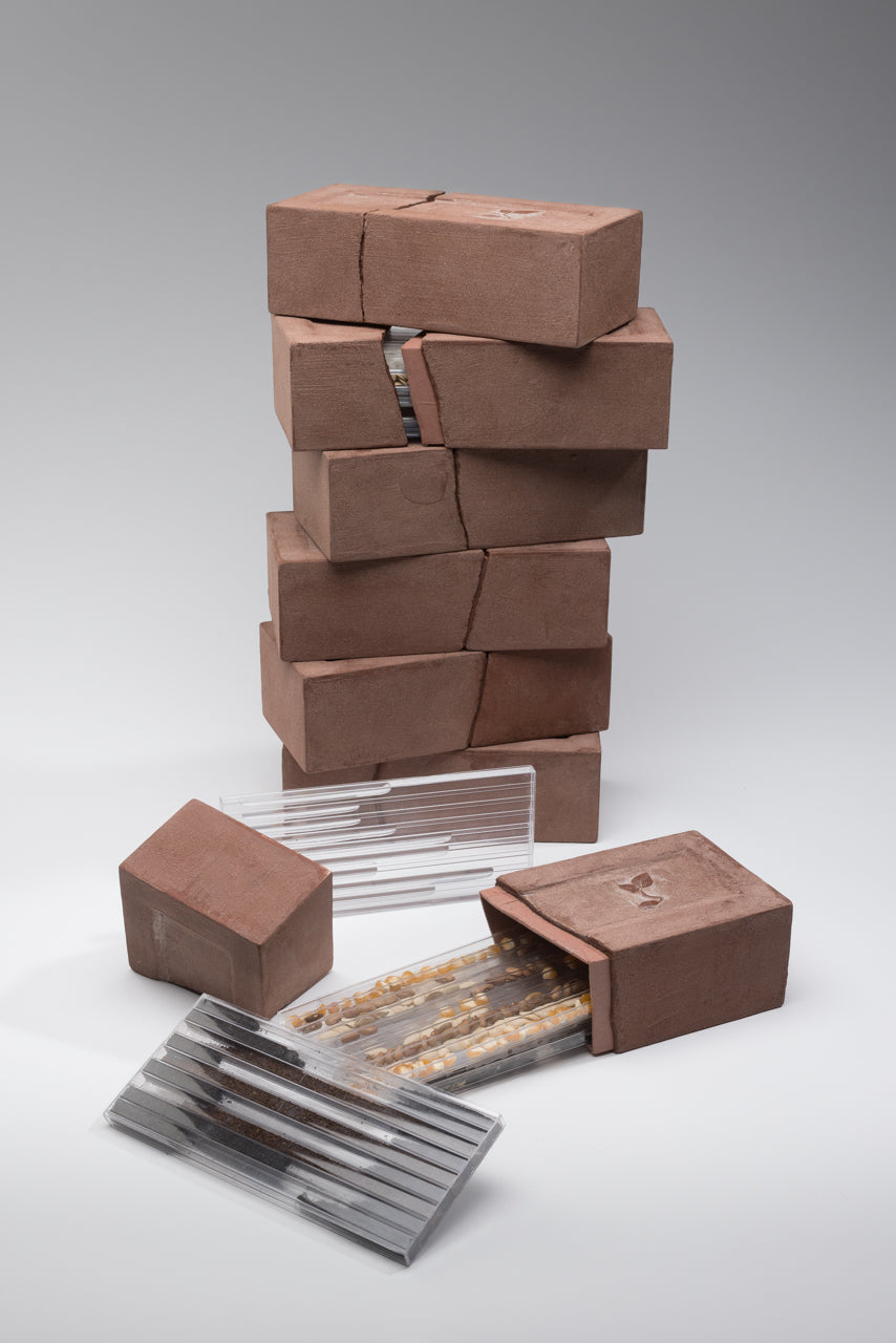 Susan Goethel Campbell | Survival Brick