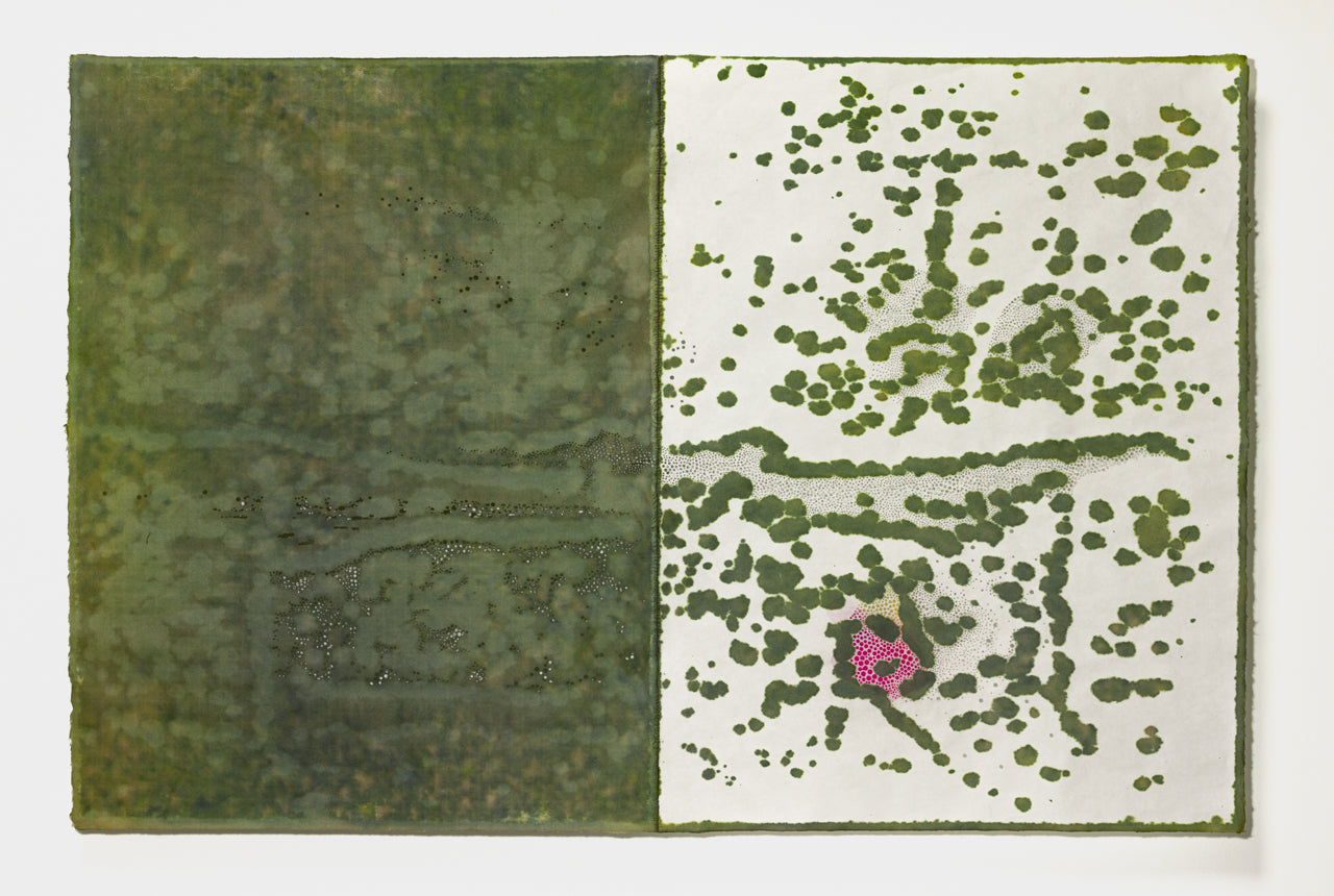 Susan Goethel Campbell | Garden Notebook No.1