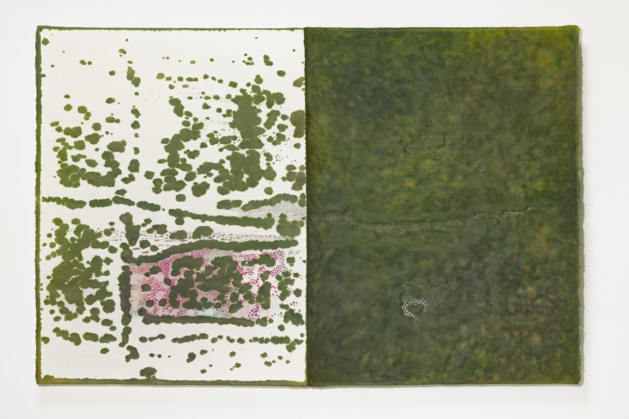 Susan Goethel Campbell | Garden Notebook No.2