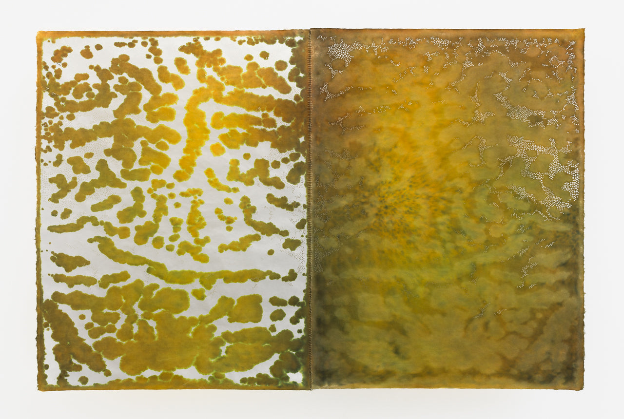 Susan Goethel Campbell | Garden Notebook No.4