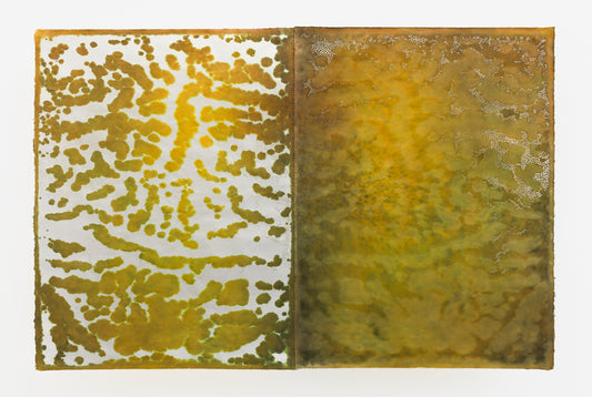 Susan Goethel Campbell | Garden Notebook No.4