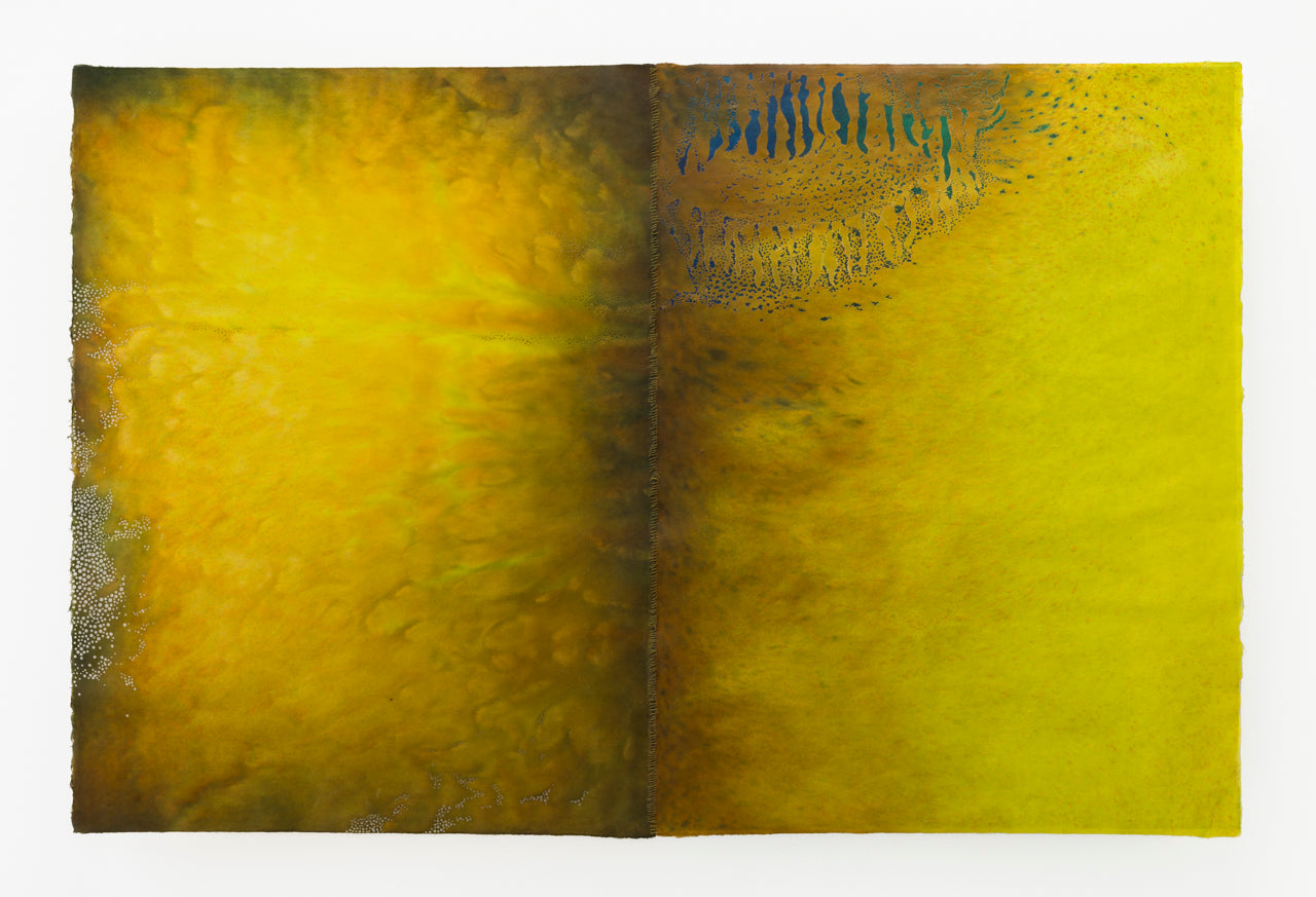 Susan Goethel Campbell | Pollen Count