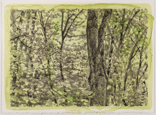 John Mitchell | Sandgate III