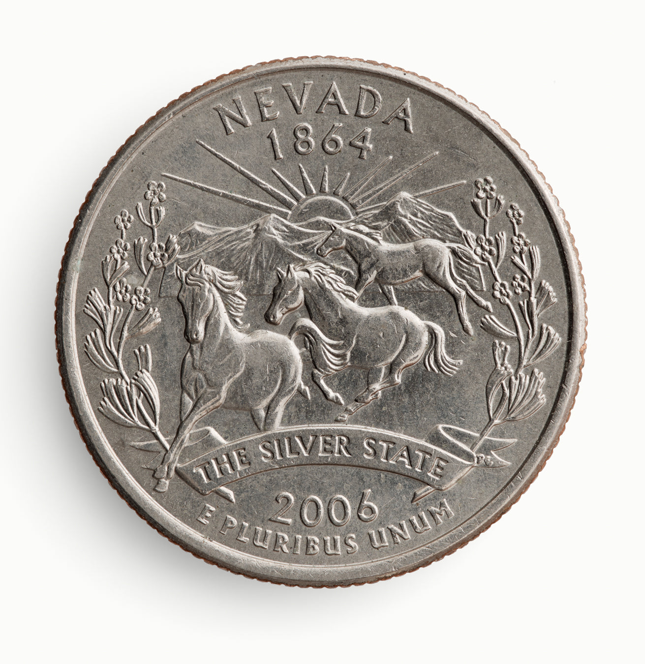 Blaise Hayward | Nevada