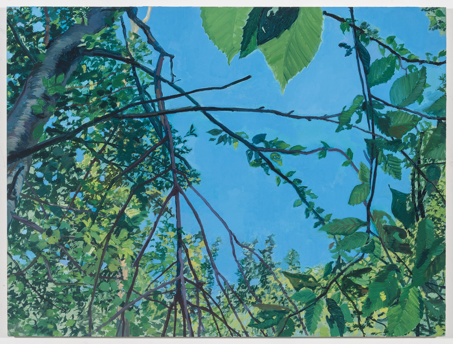 John Mitchell | Mount Gretna Forest