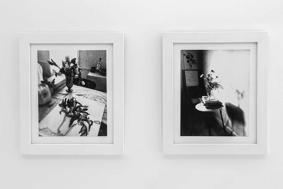 Wendy Small | Close to Home