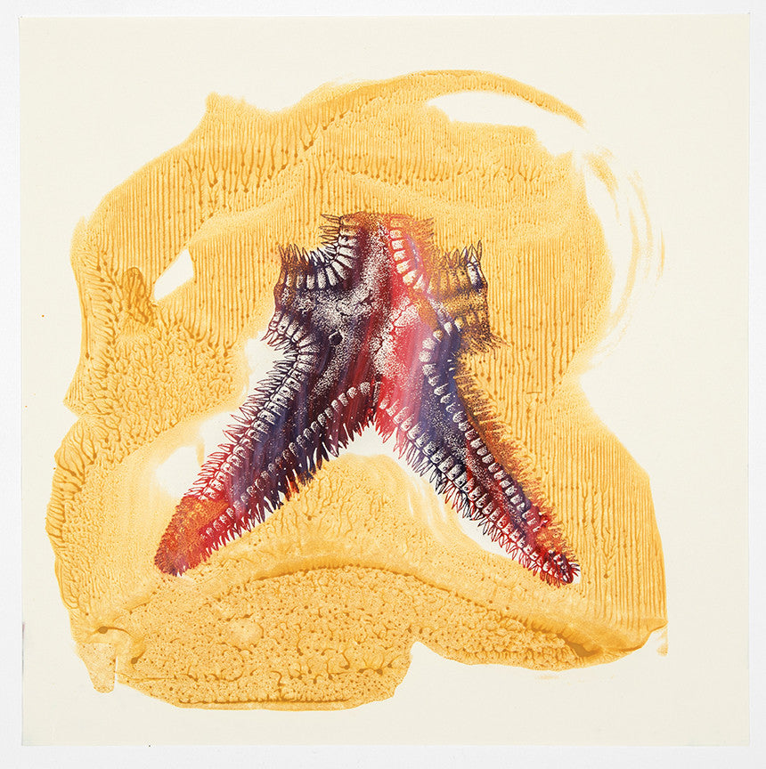 Philip Taaffe | Orange, Red/Blue, Two Arms