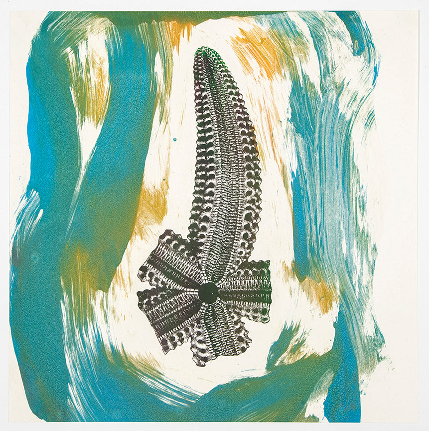 Philip Taaffe | Blue, Orange, Single Arm