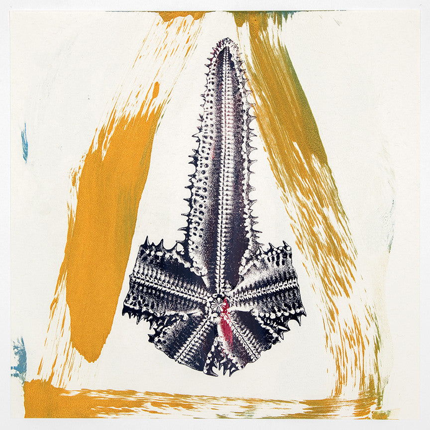 Philip Taaffe | Yellow, Purple, Single Arm