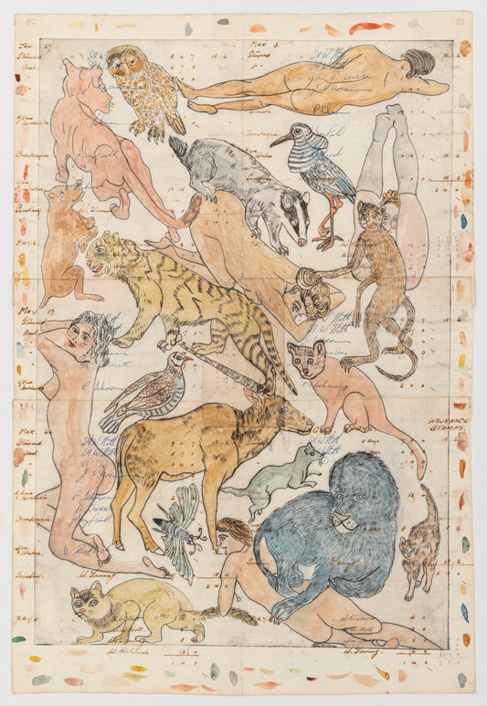 Lauren Drescher | Blue Lion