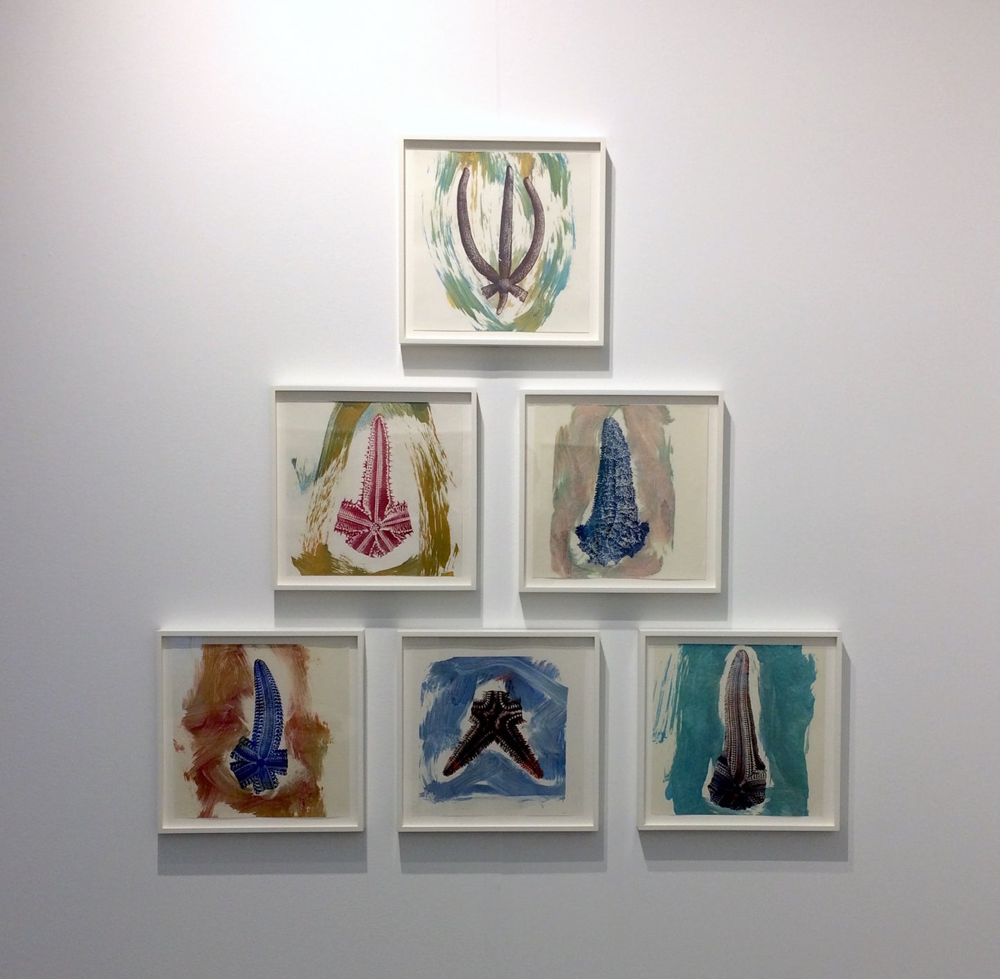 Philip Taaffe | Asterias - Miami