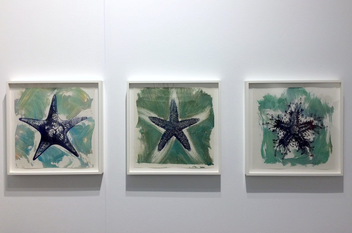 Philip Taaffe | Asterias - Miami