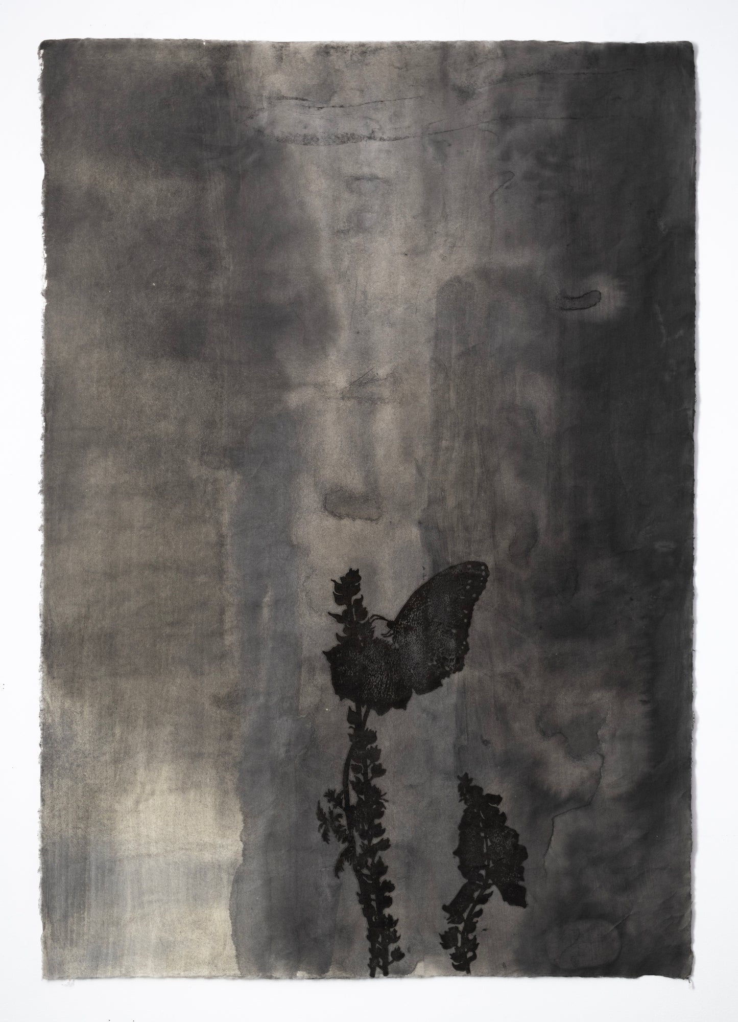 Valerie Hammond | Midnight Hours (Butterfly)