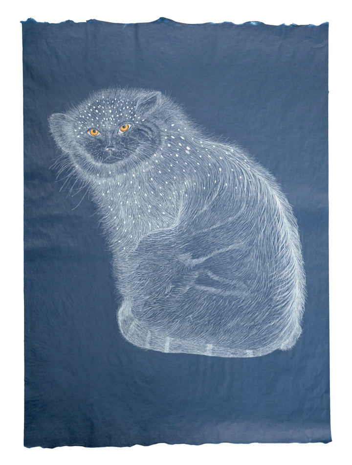 Valerie Hammond | Chimera, Cat, 2024