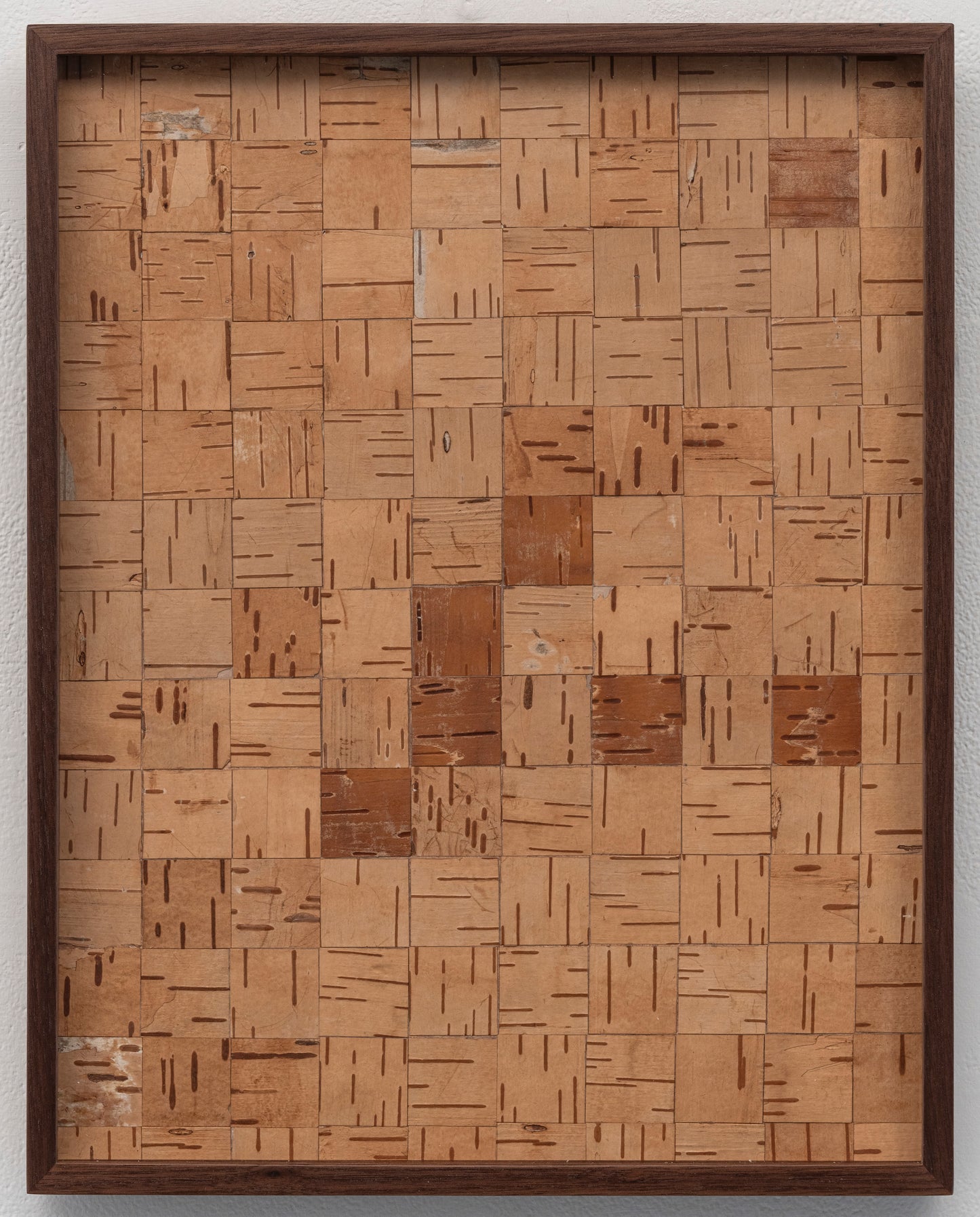 Jamisen Ogg | lenticels (interlude)