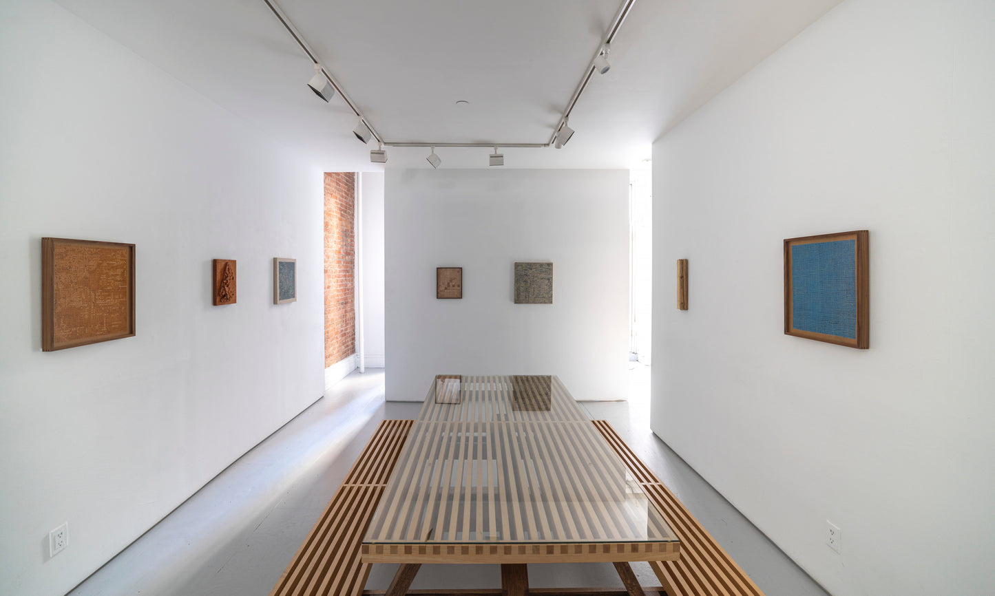 Jamisen Ogg | lenticels (interlude)