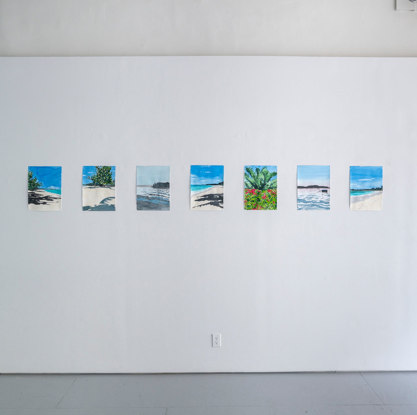 Richard Dupont | Islands 308