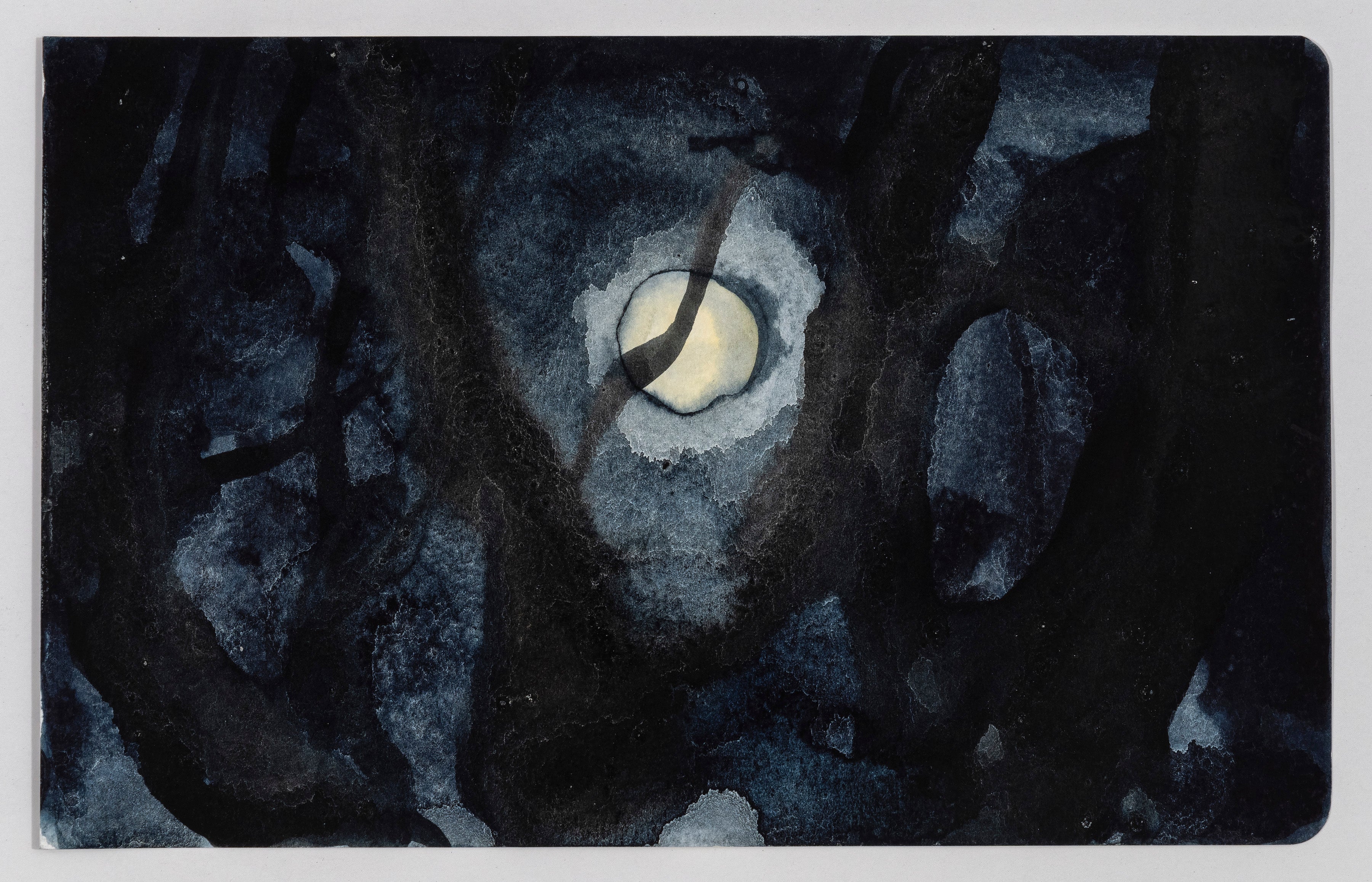 Jimbo Blachly Moon In Trees, Inwood Hill Park Planthouse