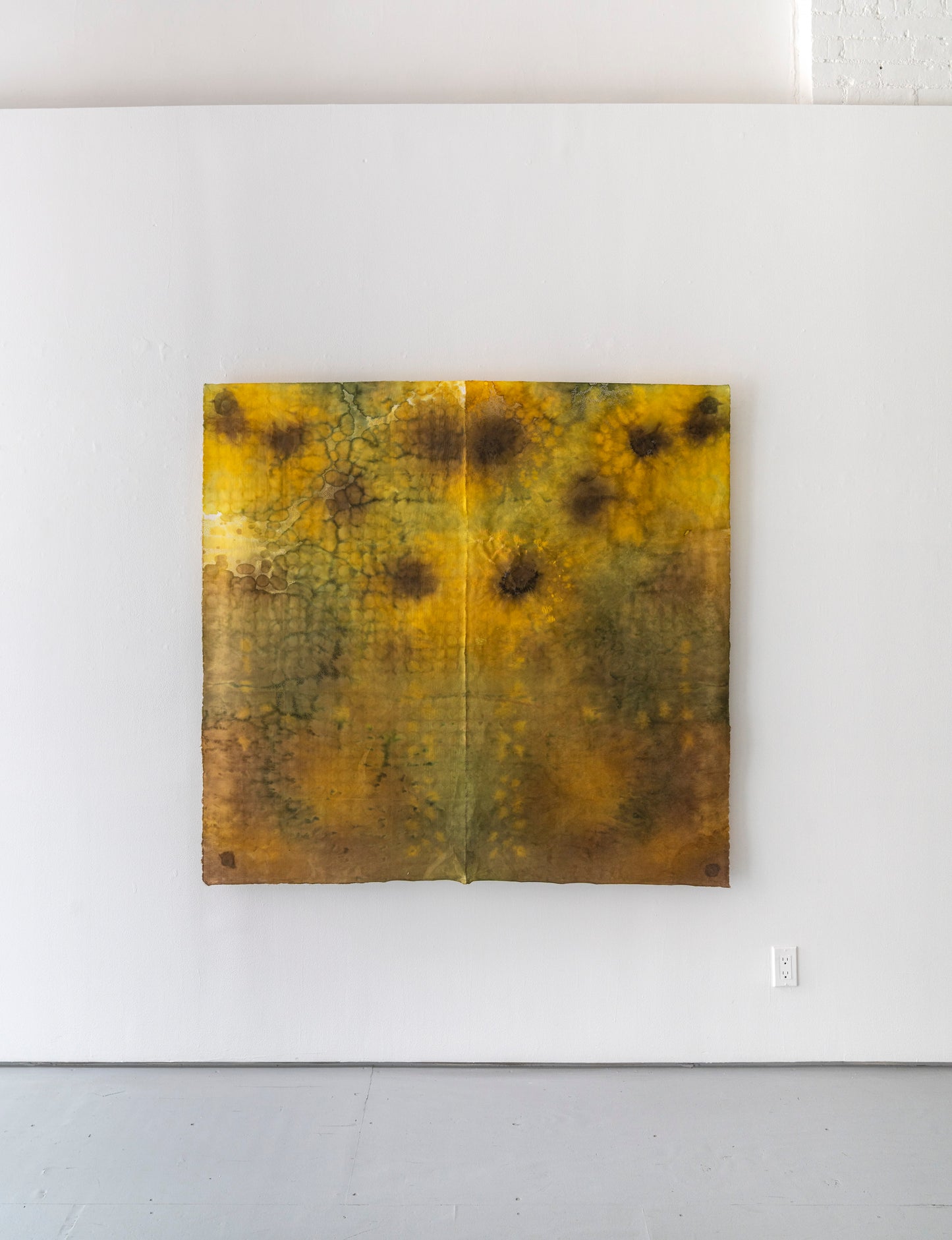 Susan Goethel Campbell | Pollen Count