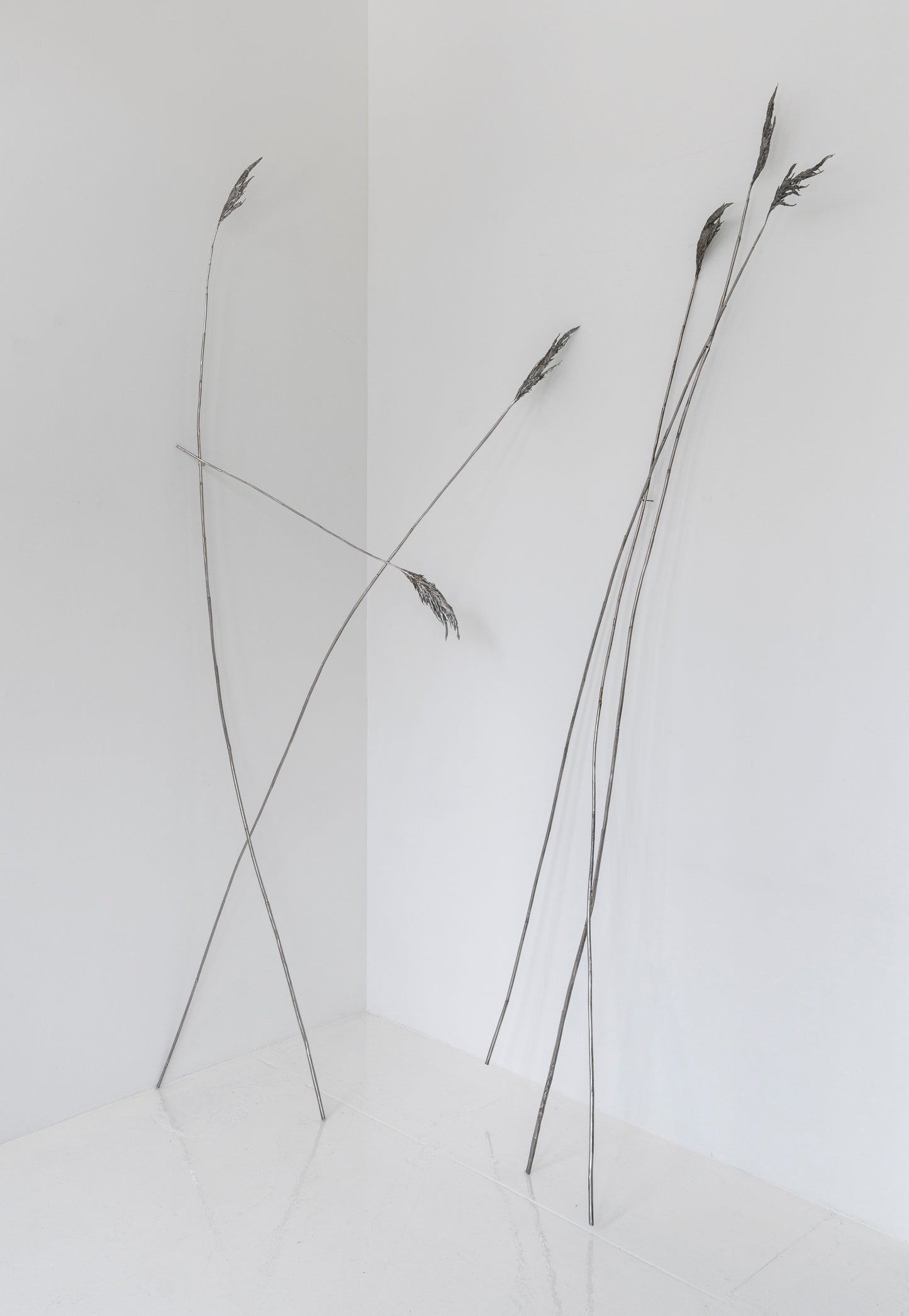 Anne Patterson | Paths We Take I