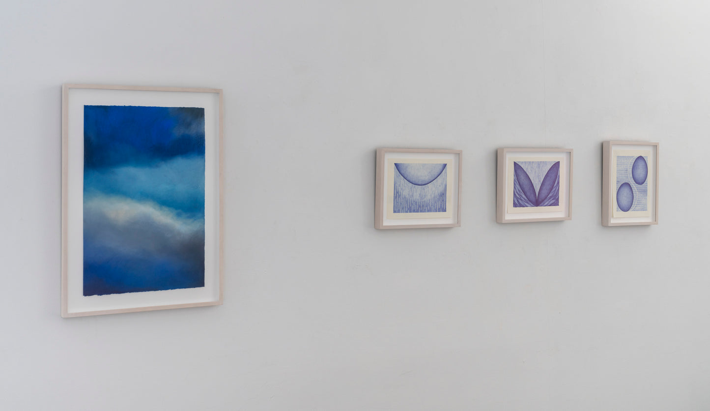 Marian Williams | Orbs