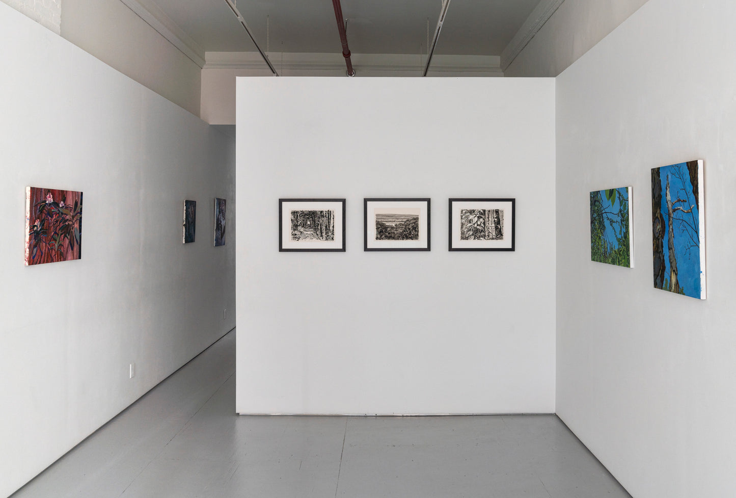 John Mitchell | Trail of Tears