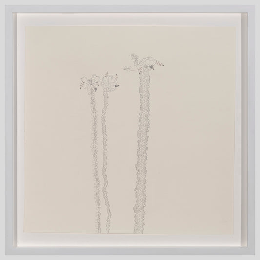 Mandy Bonnell | Rose (3)