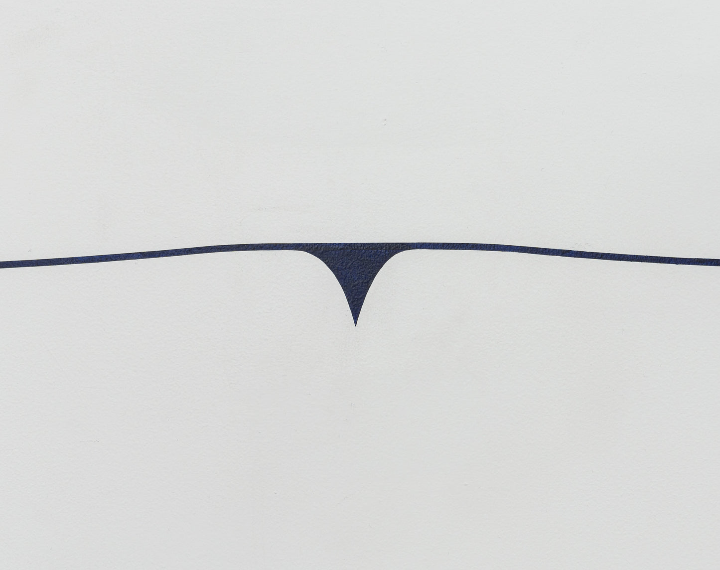 Victoria Haven | Under The Net: When Atmosphere Becomes Form