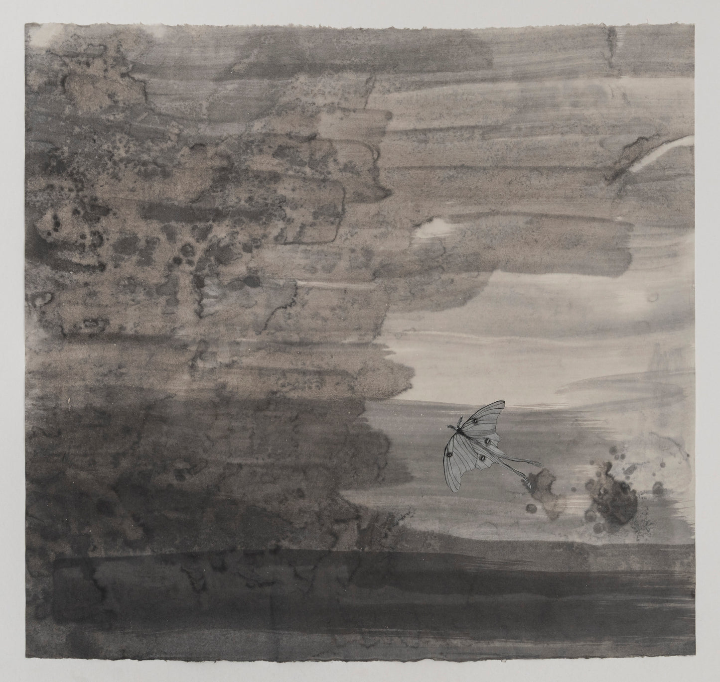 Valerie Hammond | Midnight Hours (Moth)
