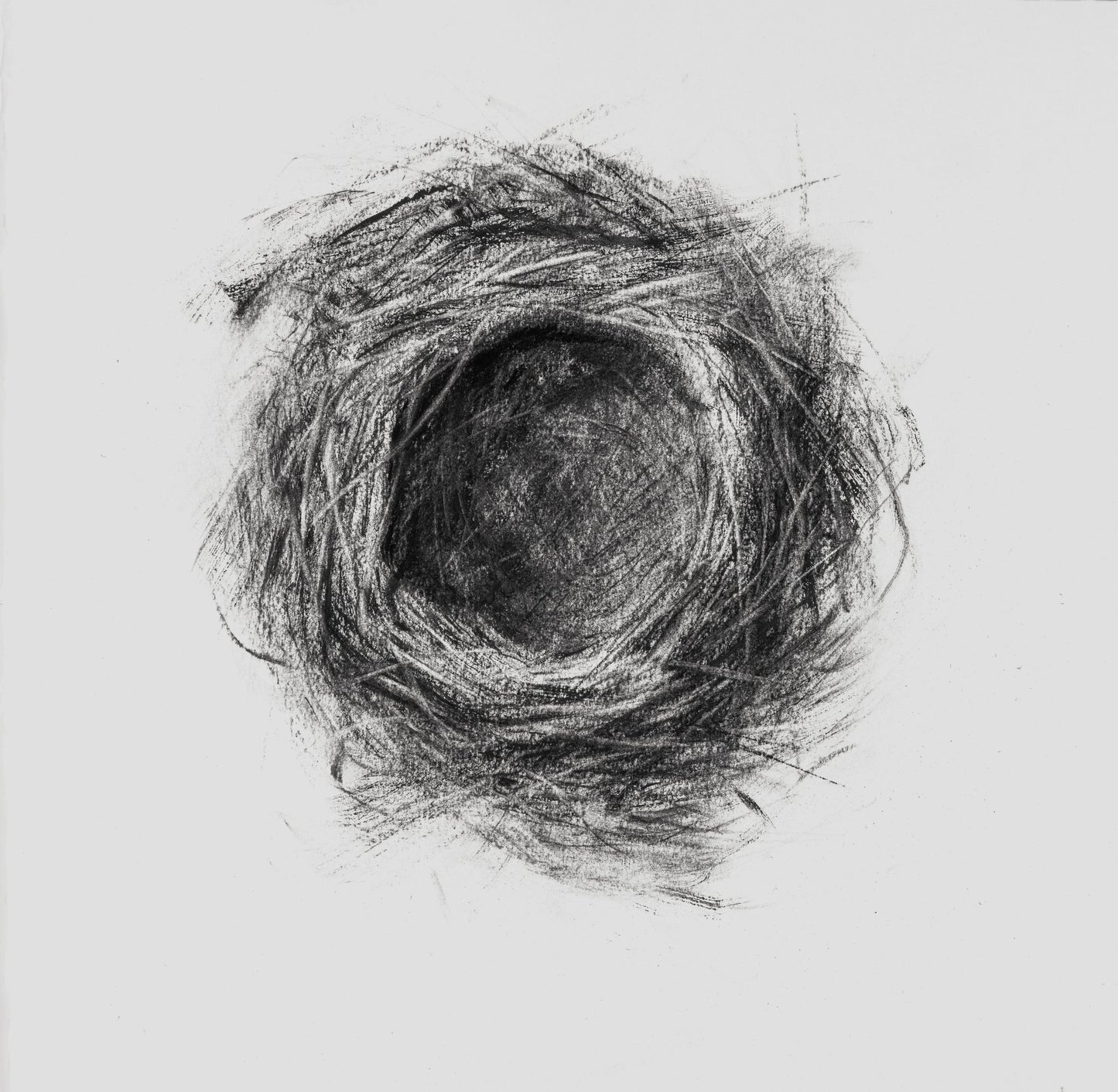 David Soman | Shelter