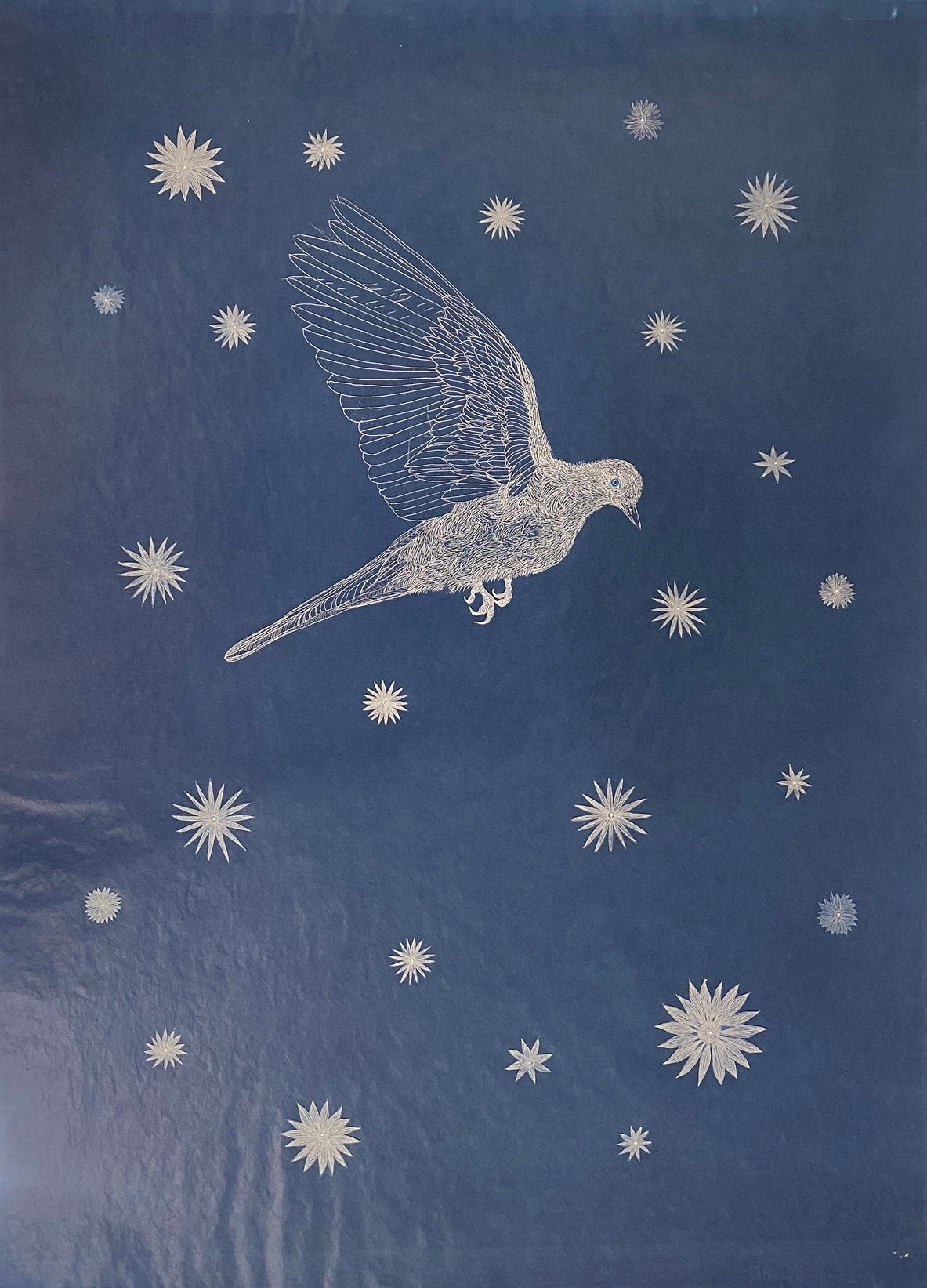 Valerie Hammond | Chimera (Dove with Stars)