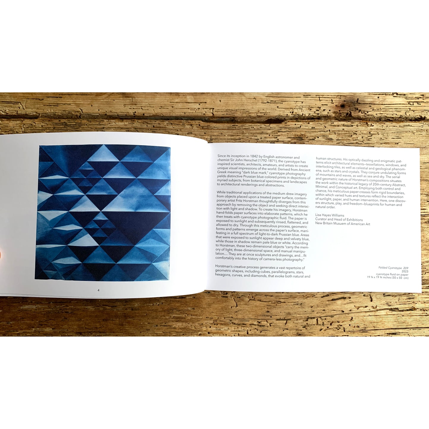 Fritz Horstman | Folded Light Monograph