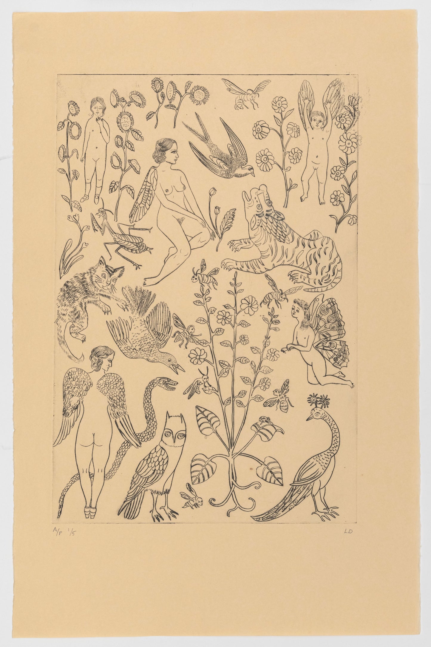 Lauren Drescher | In the Swallows Garden