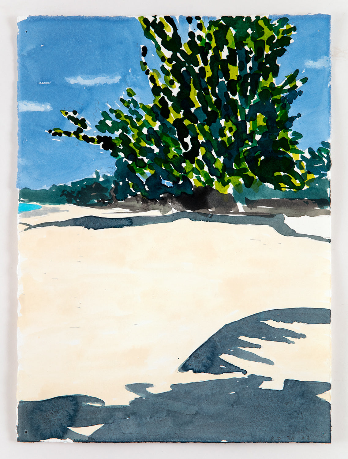 Richard Dupont | Islands 311