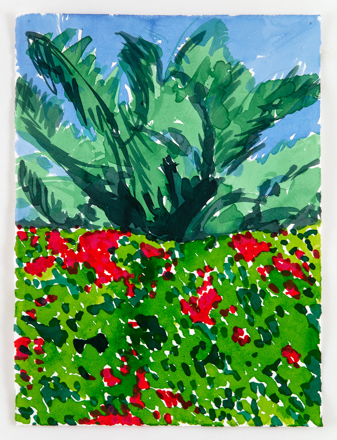 Richard Dupont | Desert Island Drawings