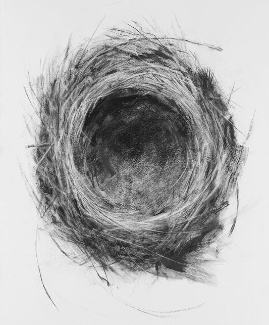 David Soman | Large Nest