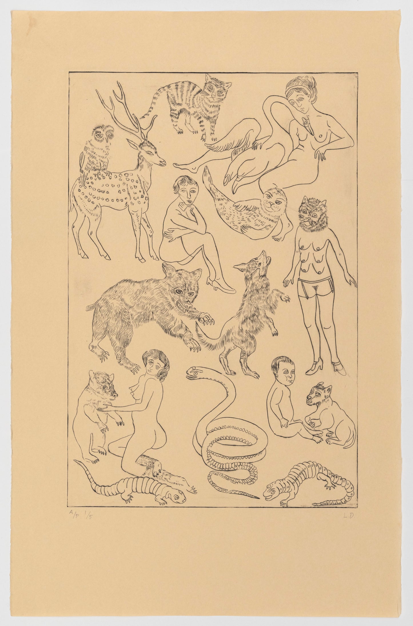 Lauren Drescher | Leda and the Swan