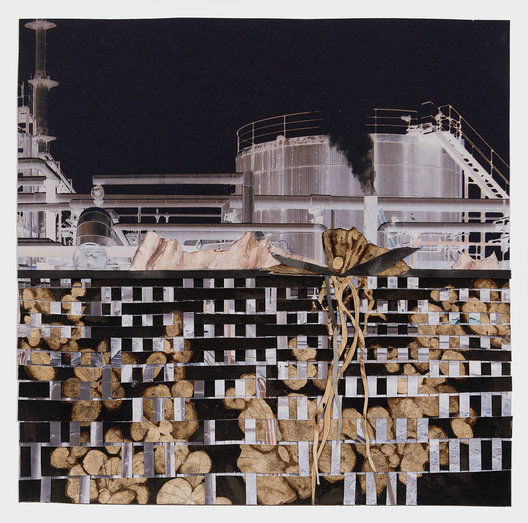 Ellen Driscoll | Oil Refinery with Water Lettuce