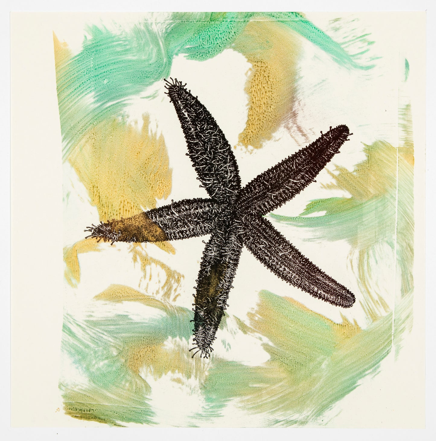 Philip Taaffe | Asterias - Miami