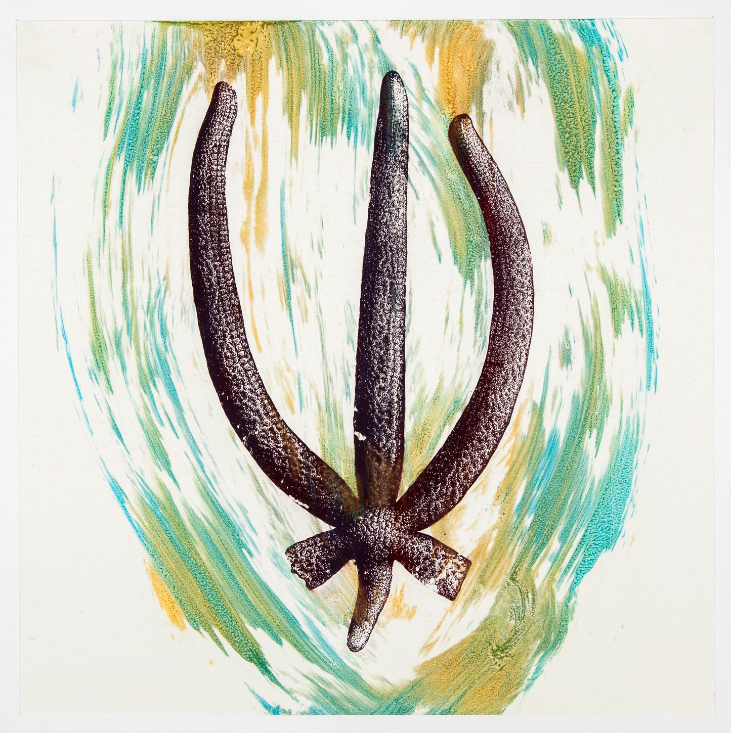 Philip Taaffe | Asterias - Miami