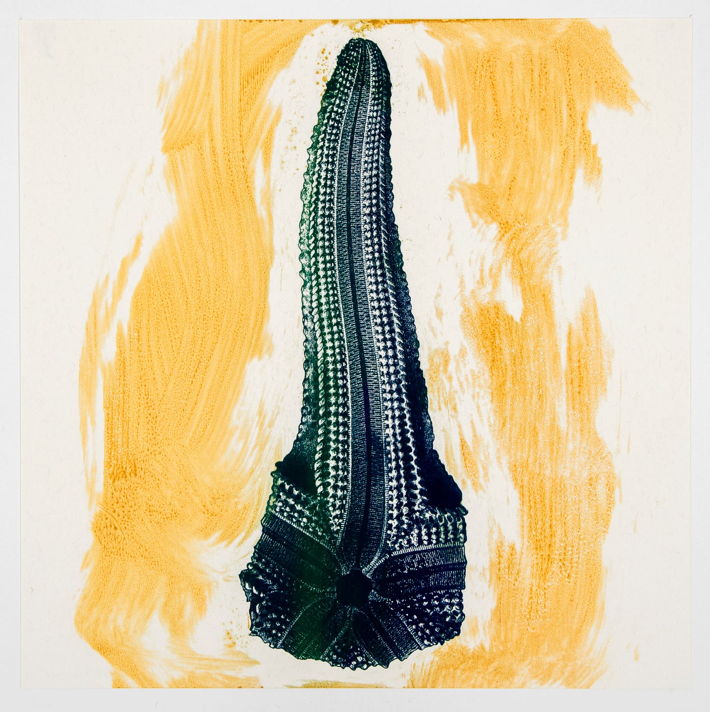 Philip Taaffe | Asterias - Miami