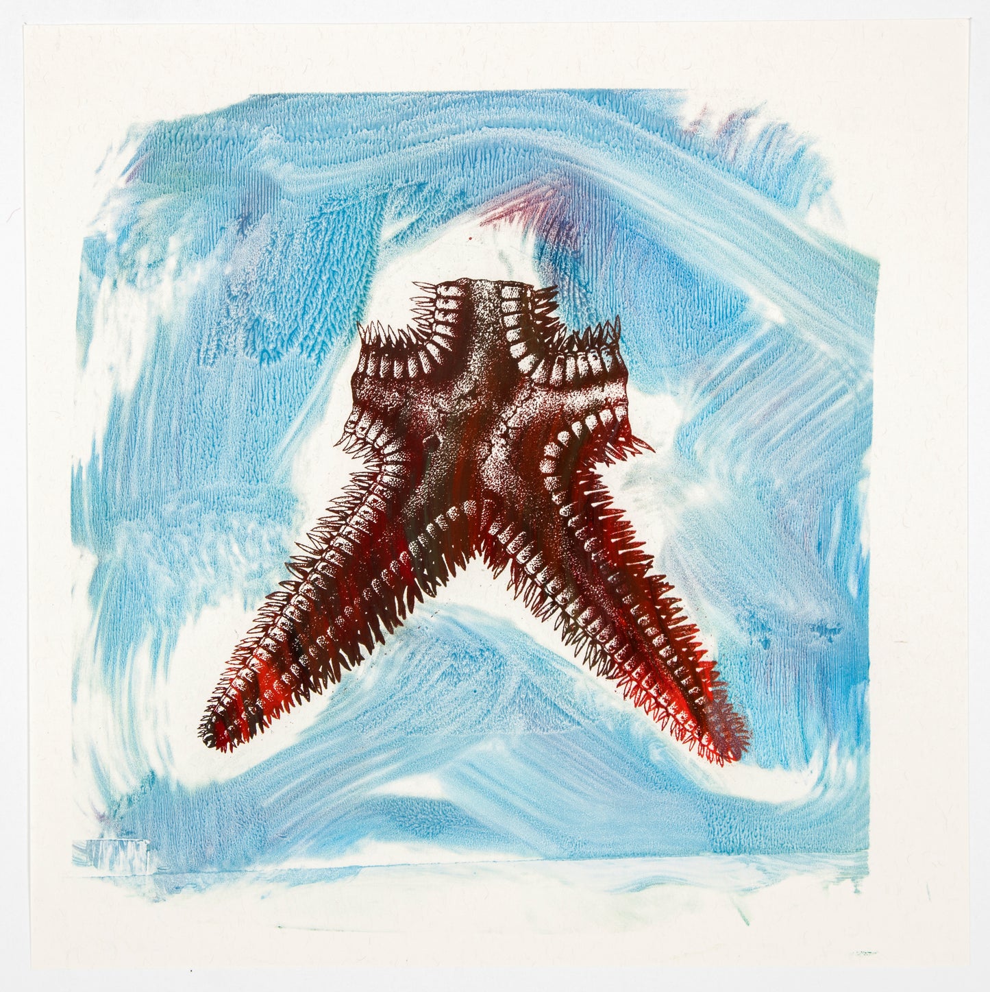 Philip Taaffe | Asterias - Miami