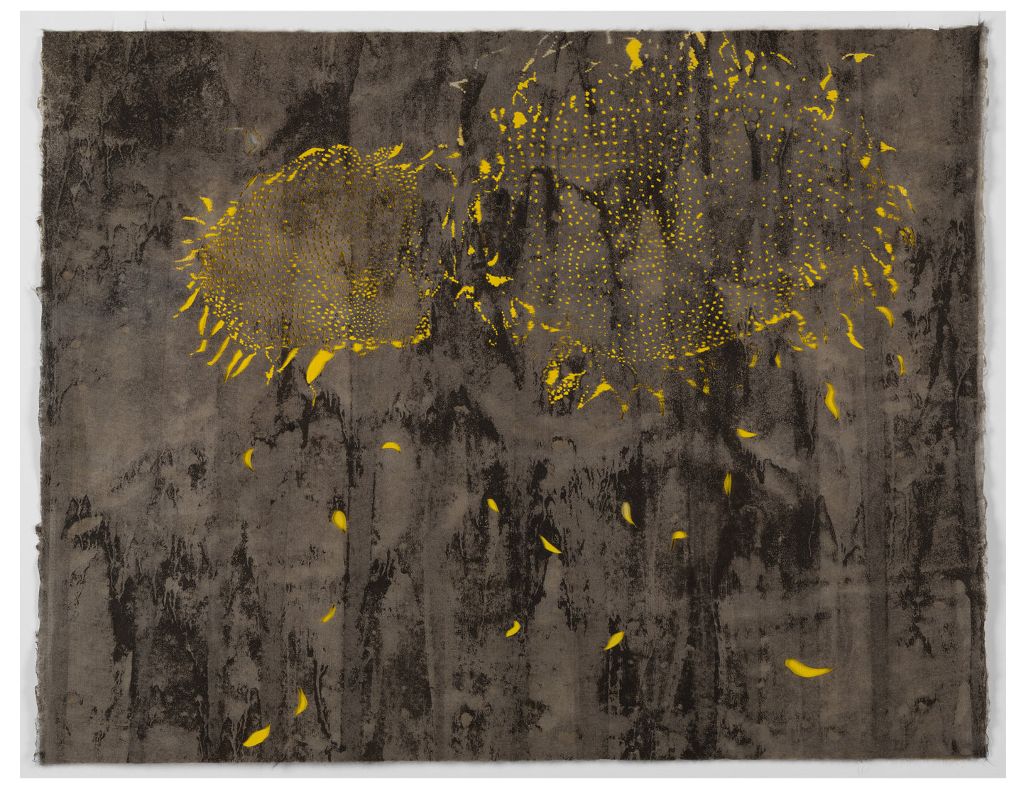 Susan Goethel Campbell | Pollen Count