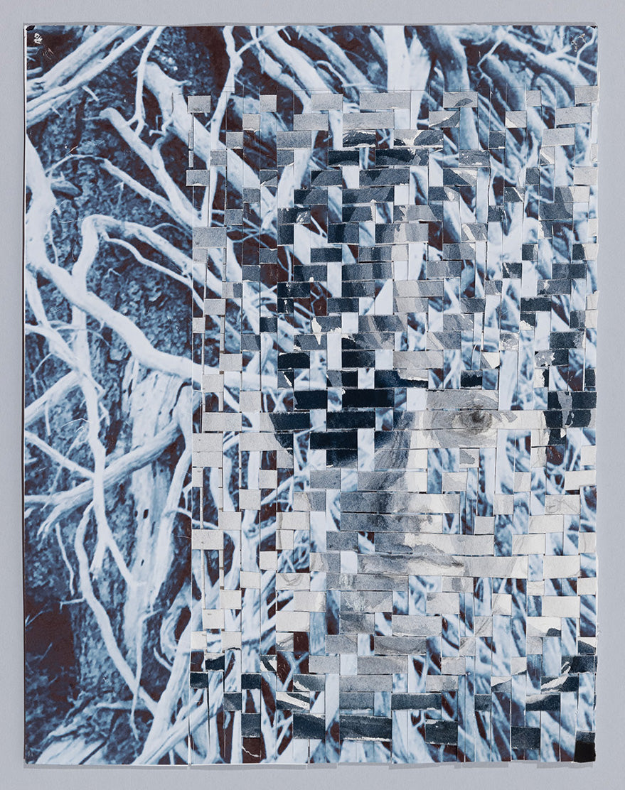Ellen Driscoll | Self Portrait with Branches
