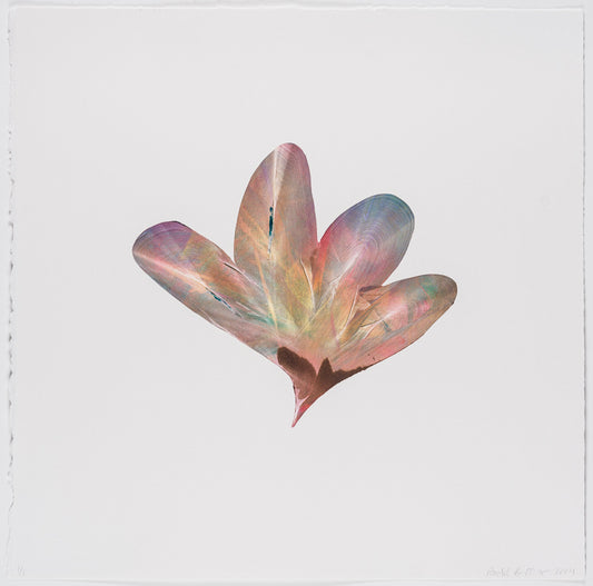 Rachel Ostrow | Tesseract (11)